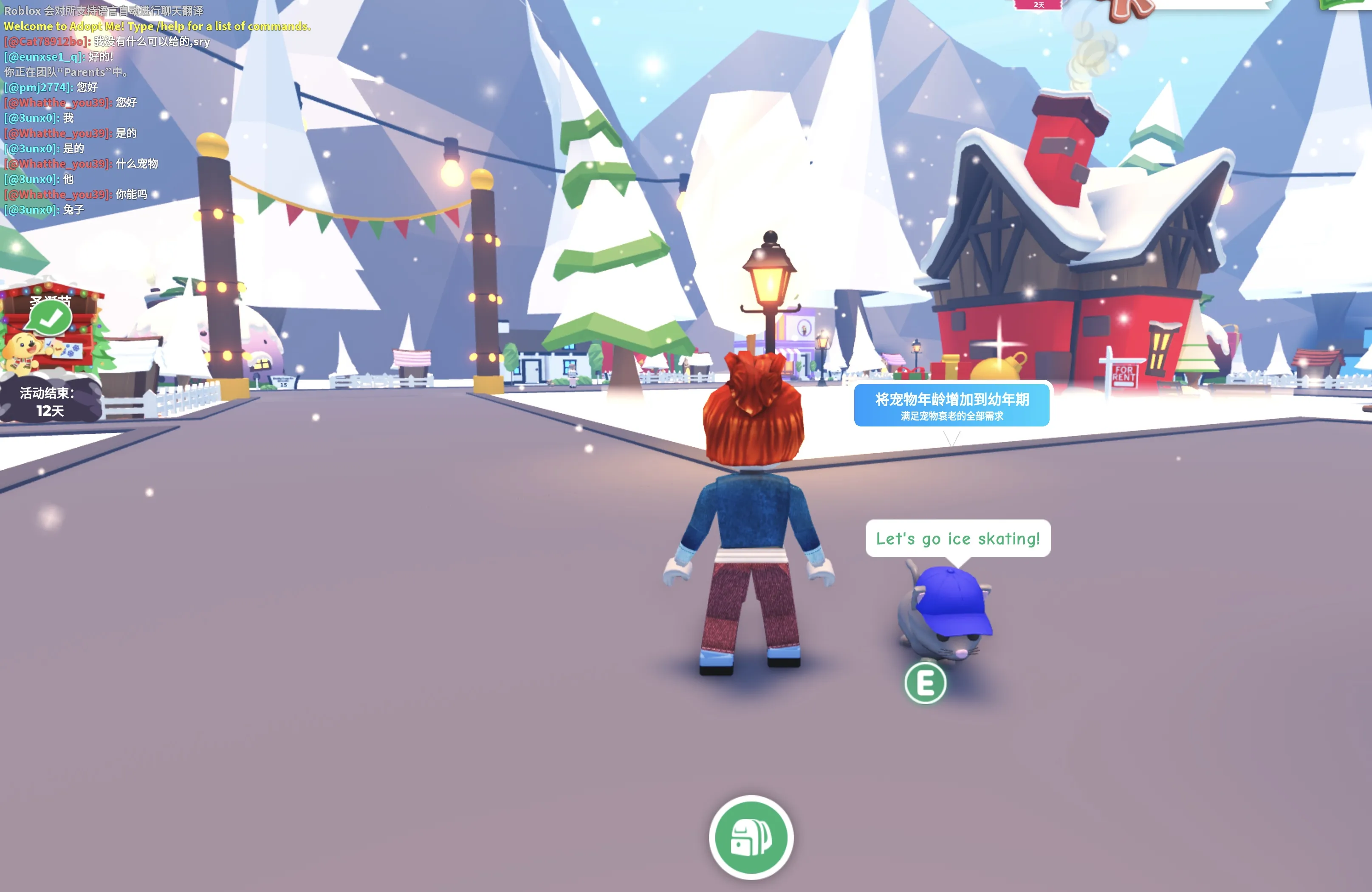 Roblox Adopt Me game world overview showing players and pets