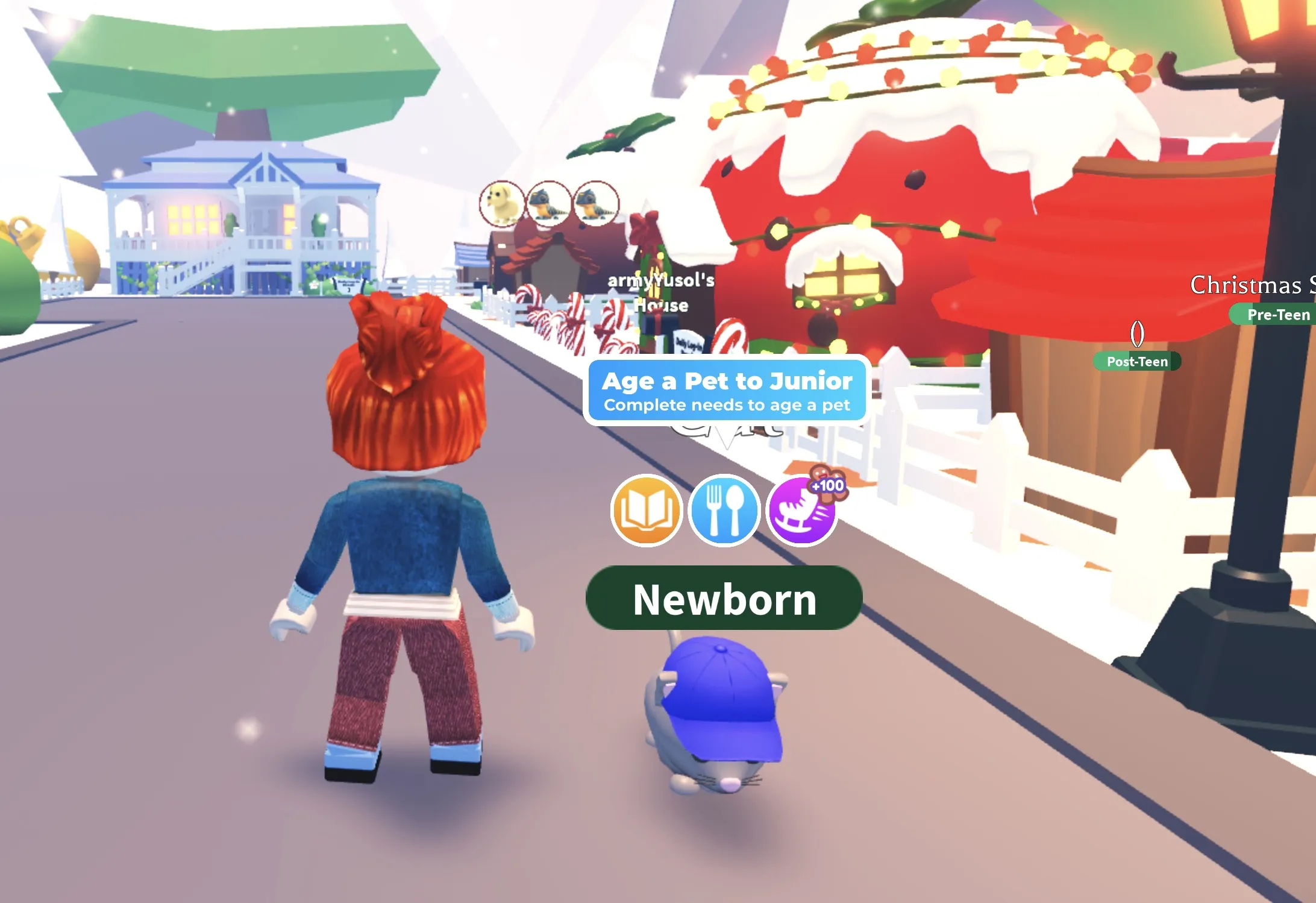 Roblox Adopt Me pet rename dialog showing how to enter styled font names